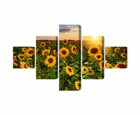 Canvastavla - Sunflower field at sunset 3d
