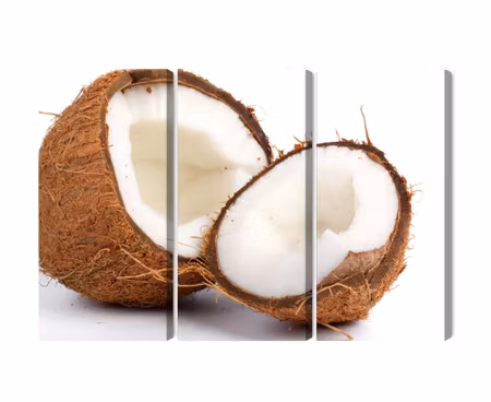 Canvastavla - Coconut halves