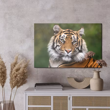 Canvastavla - Portrait of a bengal tiger