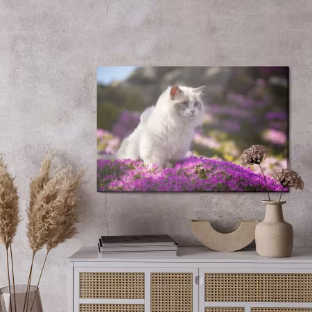 Canvastavla - Ragdoll cat among flowers