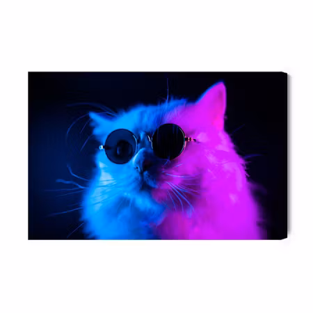 Canvastavla - Cat with sunglasses