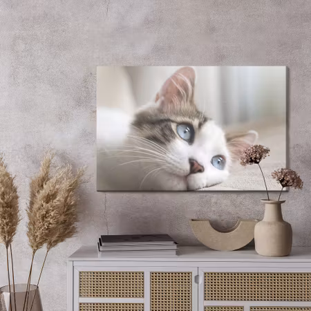 Canvastavla - Dreamy kitten