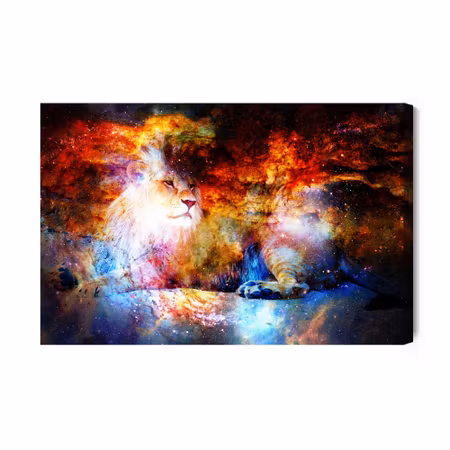 Canvastavla - Lion in outer space