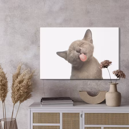 Canvastavla - Lovely kitten