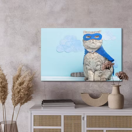 Canvastavla - Gray cat with a mask and a cape