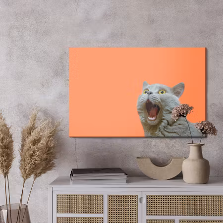 Canvastavla - British cat on an orange background