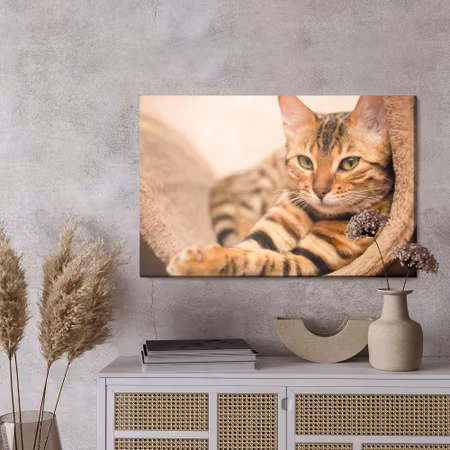 Canvastavla - Bengal cat