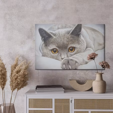 Canvastavla - Gray cat like painted