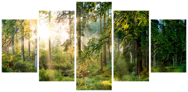 Akrylglastavla - Green Sanctuary