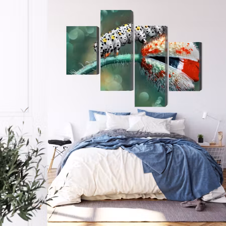 Canvastavla - Multipart a Caterpillar and a