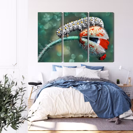 Canvastavla - Multipart a Caterpillar and a