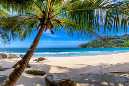 Canvastavla - Multipart Tropical Beach with D Palm