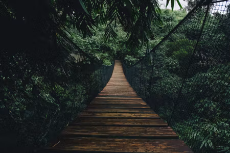 Canvastavla - Multipart Wooden Suspension Bridge