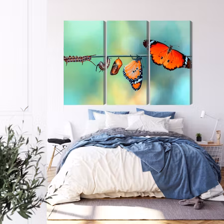 Canvastavla - Multipart Colorful Caterpillars and