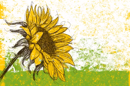 Canvastavla - Drawn Sunflower in Retro Style