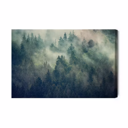 Canvastavla - Misty Landscape with Fir Forest in