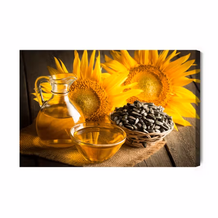 Canvastavla - Beautiful Sunflowers with Oil