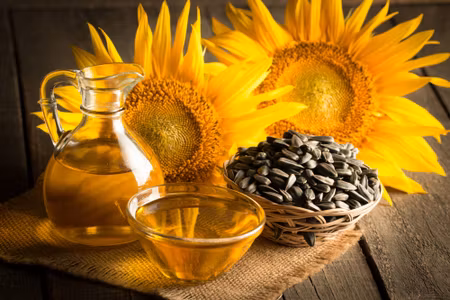 Canvastavla - Beautiful Sunflowers with Oil
