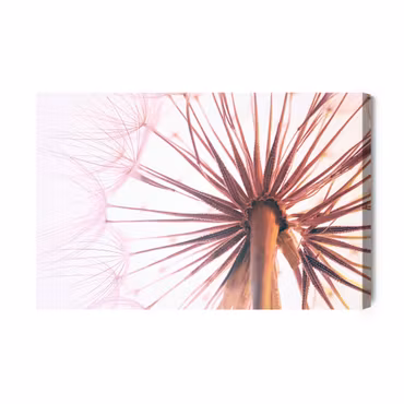 Canvastavla - Dandelion Seeds