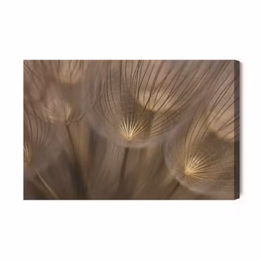 Canvastavla - Dandelion Seeds