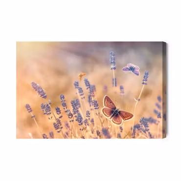 Canvastavla - Butterflies Among Lavender