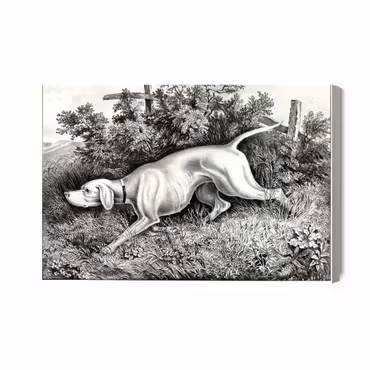 Canvastavla - Hunting Dog