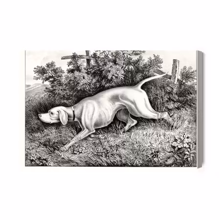 Canvastavla - Hunting Dog