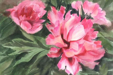 Canvastavla - Peonies in Leaves