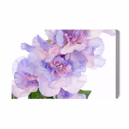 Canvastavla - Peonies in Shades of Purple