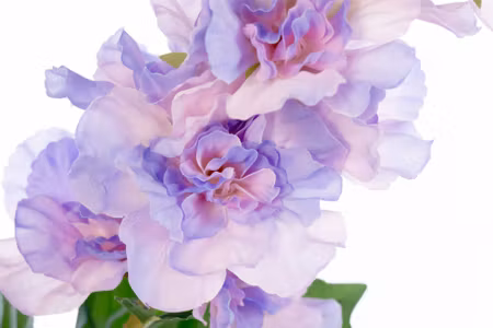Canvastavla - Peonies in Shades of Purple