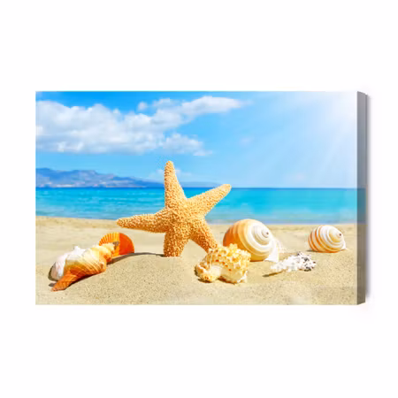 Canvastavla - Sea Beach and Seashells
