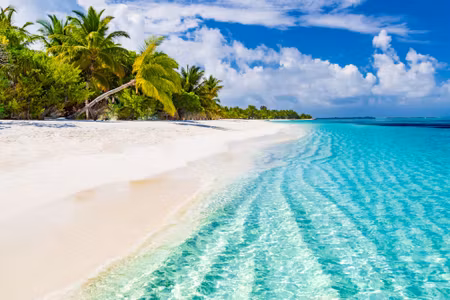 Canvastavla - Sea and Tropical Beach