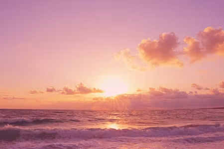 Canvastavla - Pink Sea Landscape
