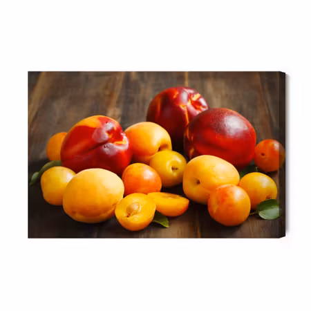 Canvastavla - Nectarines with Apricots