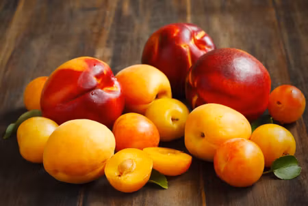 Canvastavla - Nectarines with Apricots
