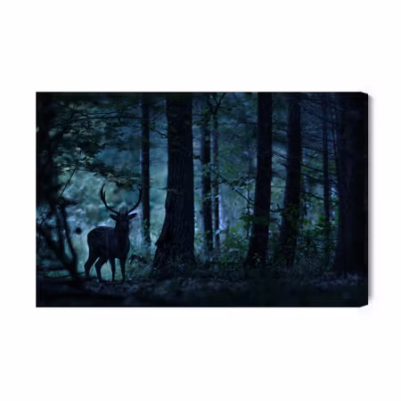 Canvastavla - A Deer in a Dark Forest