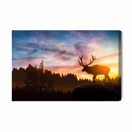 Canvastavla - Deer At Sunset