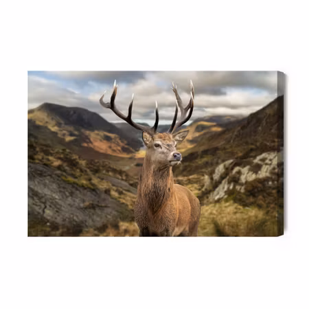 Canvastavla - Deer on the Background of Mountains