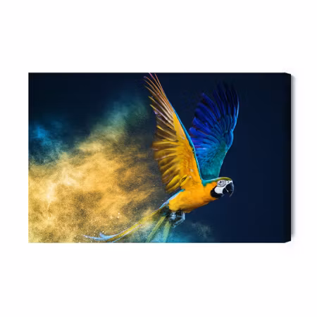 Canvastavla - Colorful Macaw Parrot