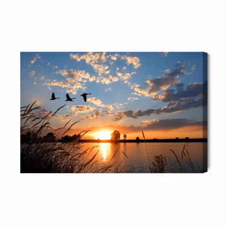 Canvastavla - Birds At Sunset