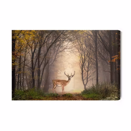 Canvastavla - A Deer in the Middle of the Forest