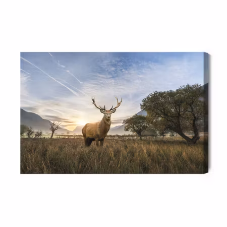 Canvastavla - Deer on the Background of the
