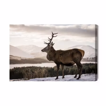 Canvastavla - A Deer Against the Background of a