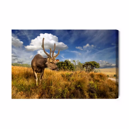 Canvastavla - Deer Against the Sky