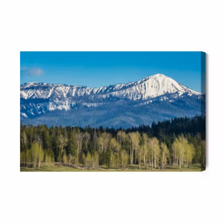 Canvastavla - Grand Teton National Park in the Us