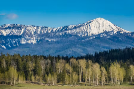 Canvastavla - Grand Teton National Park in the Us
