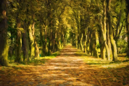 Canvastavla - A Path in the Middle of the Forest