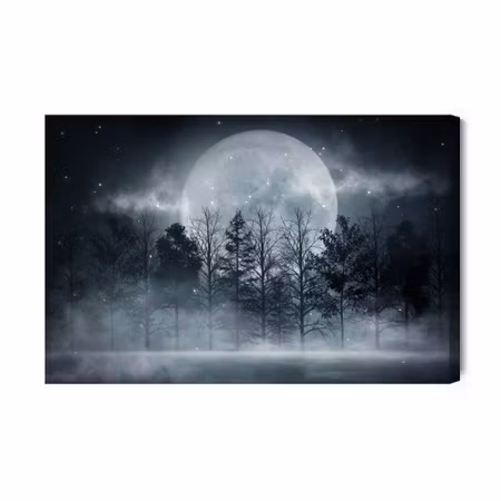 Canvastavla - Full Moon in a Misty Forest