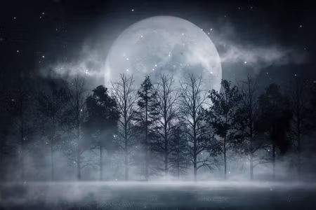 Canvastavla - Full Moon in a Misty Forest