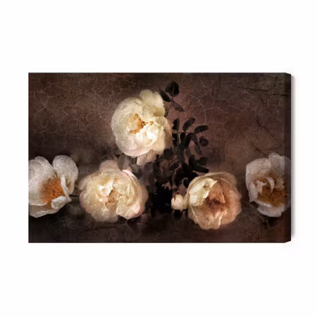 Canvastavla - Vintage Wild Roses